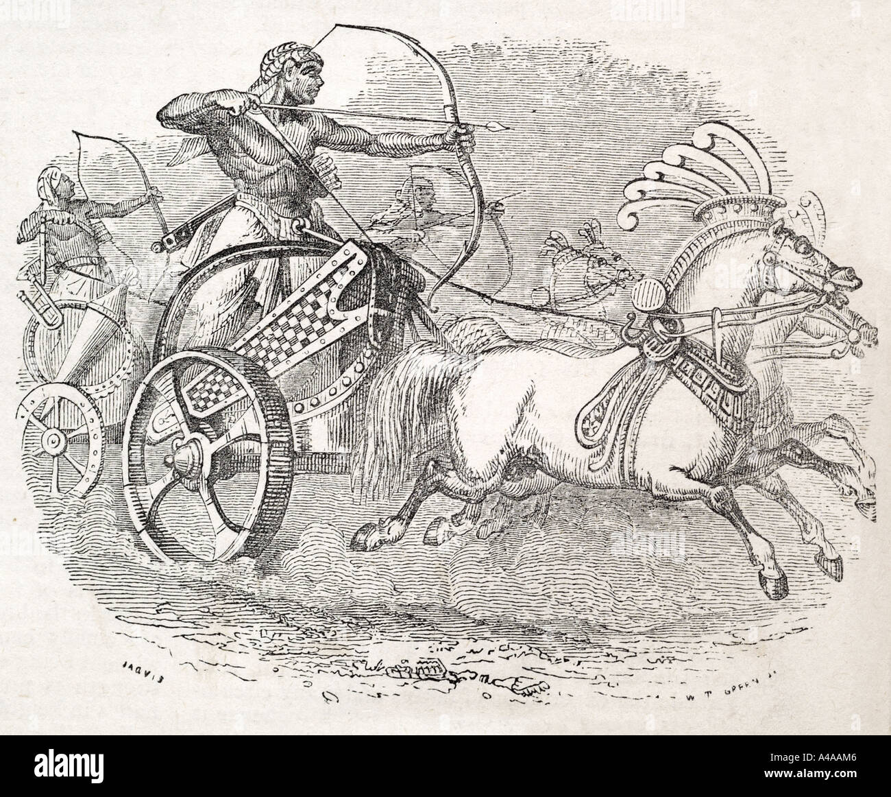 Egizio carro da guerra cavallo carica di trasporto galoppo freccia di prua lotta equine royal Foto Stock