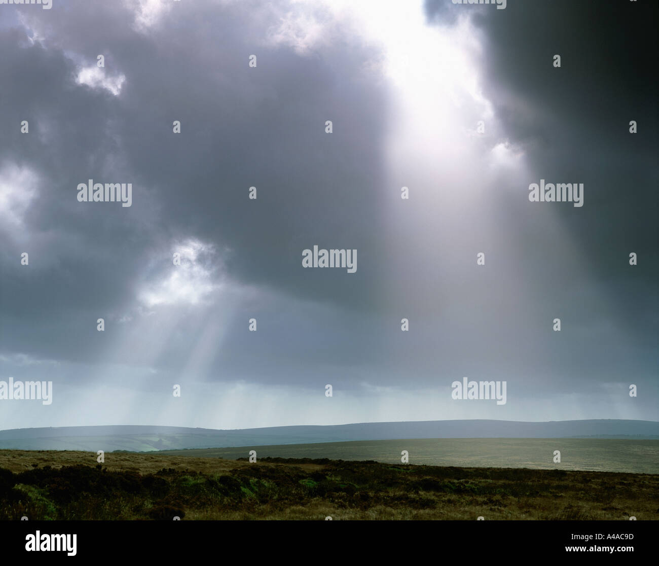 Alberi di luce del sole attraverso il cielo tempestoso oltre EXMOOR Devon e Somerset INGHILTERRA Foto Stock