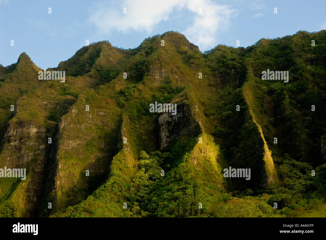 Hawaii, Oahu. Bellissima vista Kualoa Ranch e le montagne Kualoa. Foto Stock