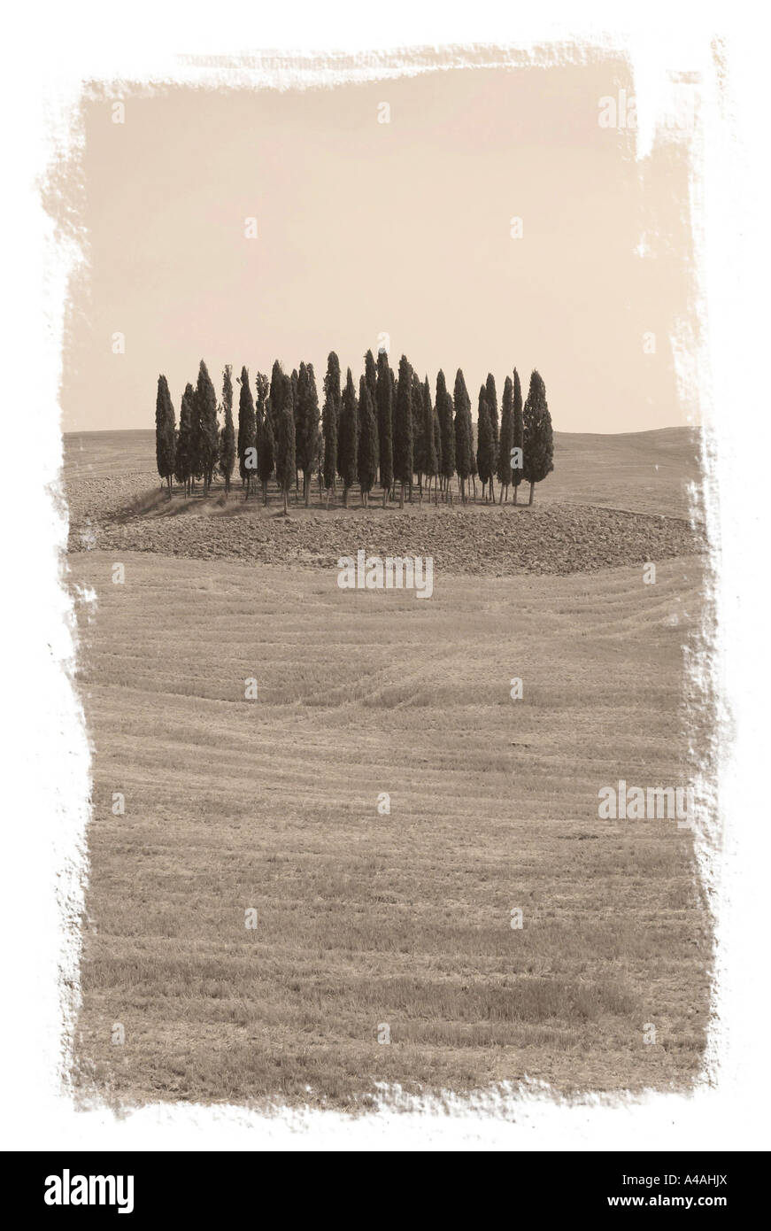 Campagna Siena Toscana Italia Foto Stock