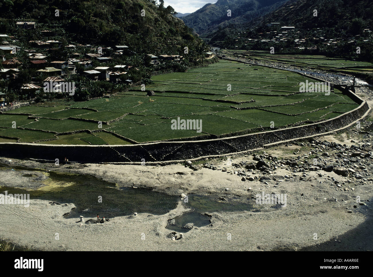 Filippine village risaie nelle montagne di cordilliera febbraio 1991 Foto Stock
