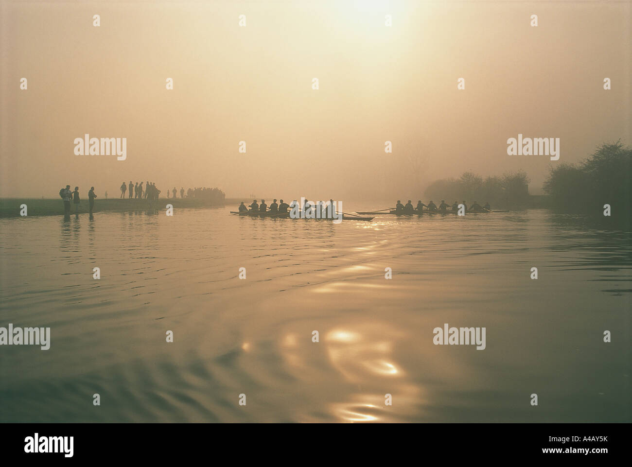 La mattina presto vogatori nella nebbia sul fiume Tamigi Porta a Prato, Oxford Foto Stock