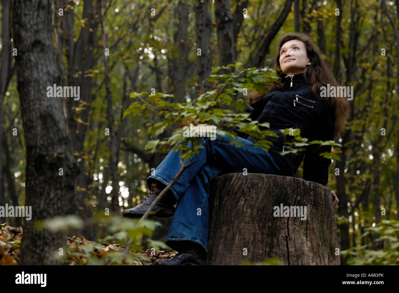 Giovane donna romantica in una foresta Foto Stock