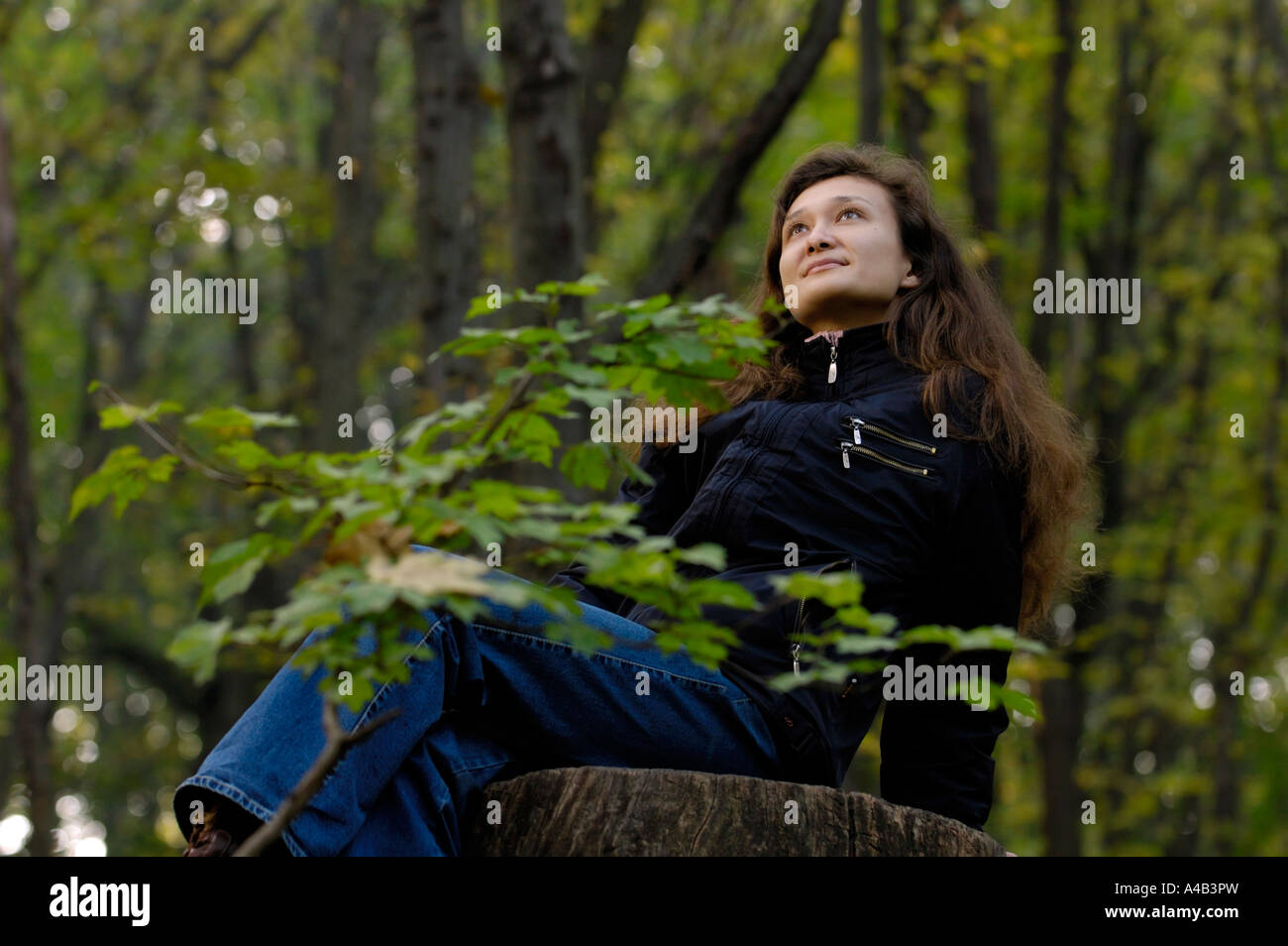 Giovane donna romantica in una foresta Foto Stock
