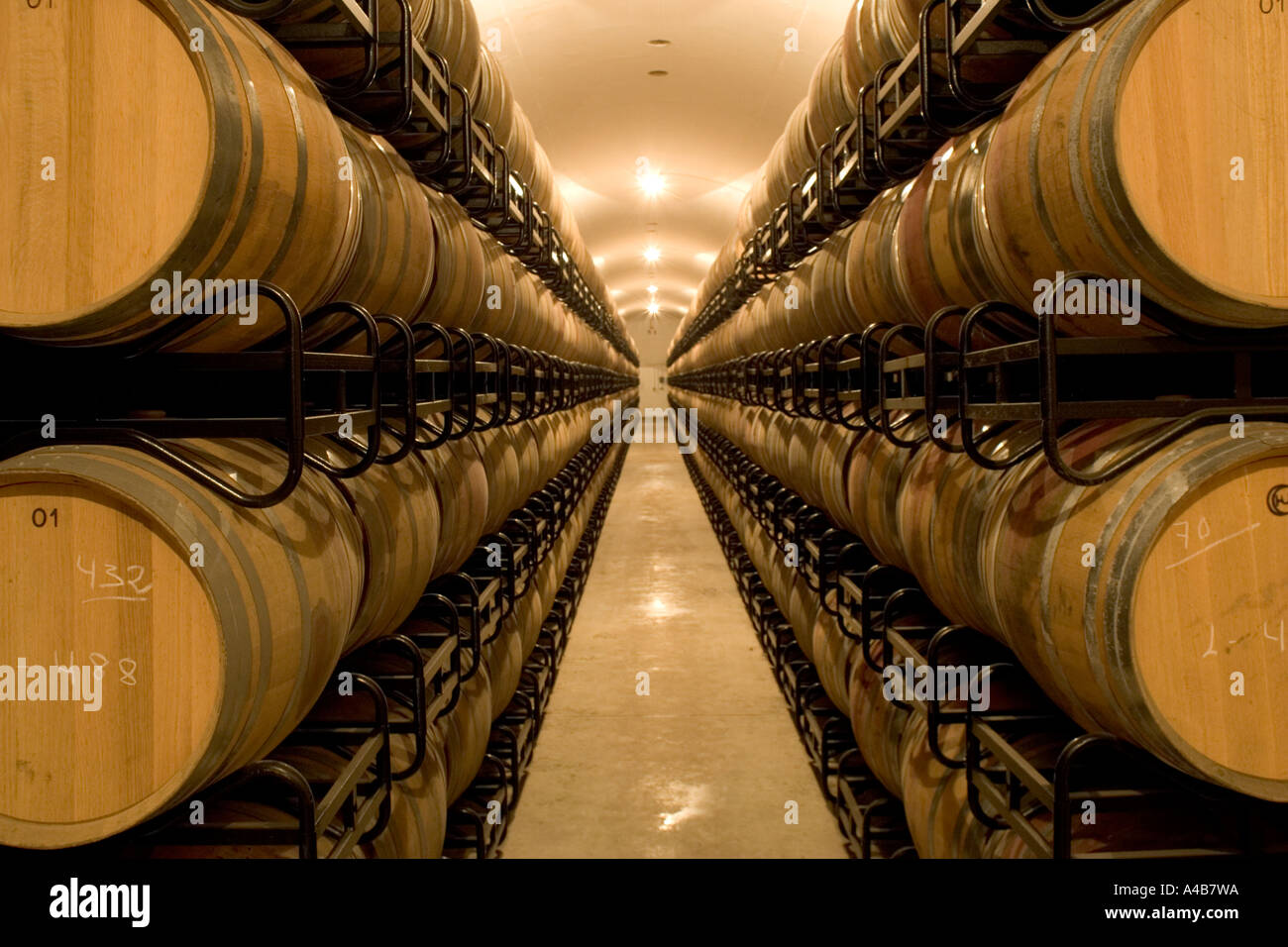 Di barili, cantina, la Rioja, Spagna Foto Stock