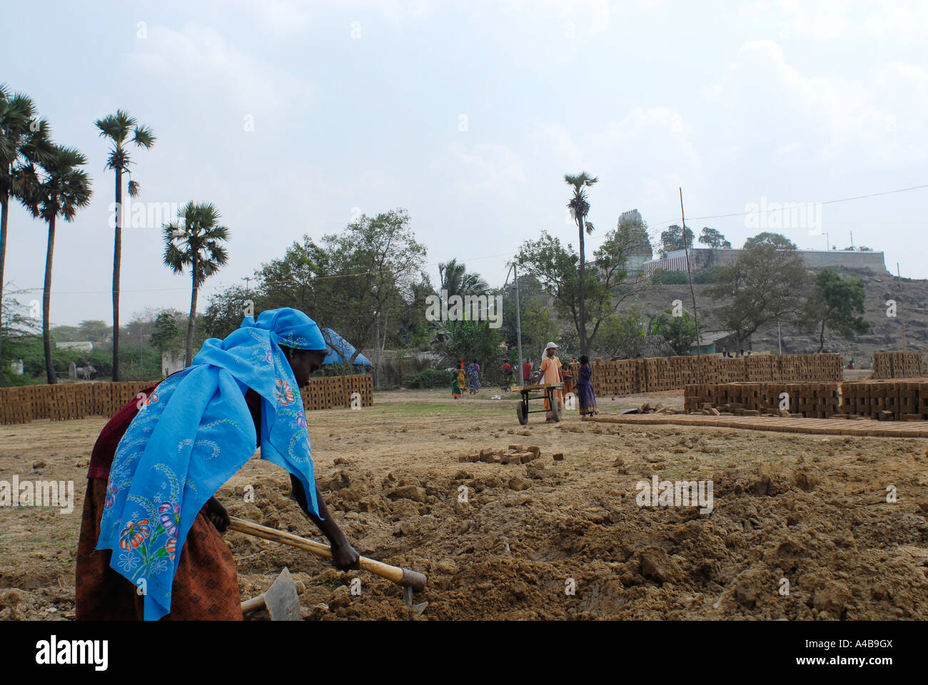 Immagine di stock di dalit villaggio tribale ragazza che lavora in un adobe fabbrica di mattoni vicino Chennai Tamil Nadu India Foto Stock