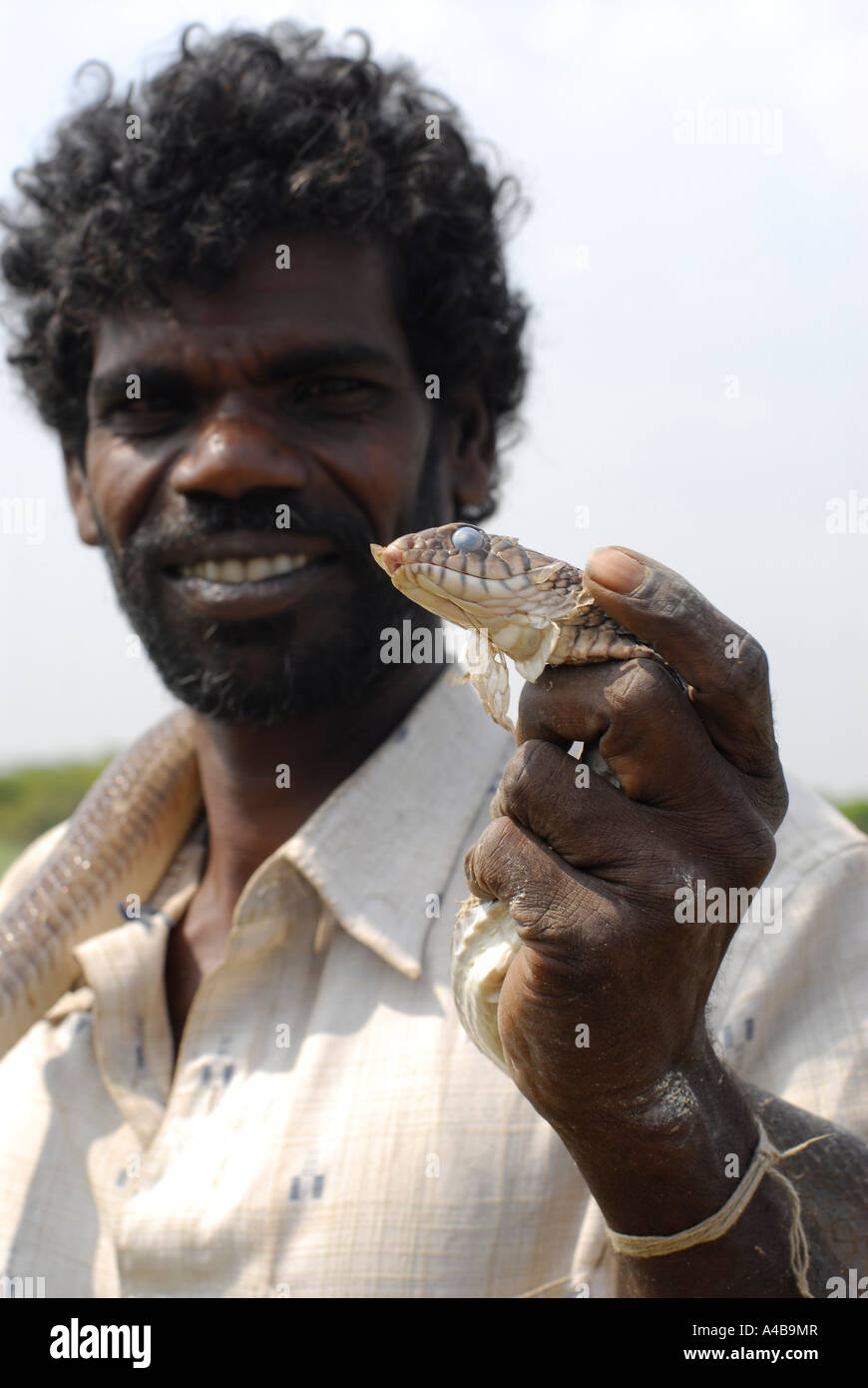 Immagine di stock di tribali dalit pescatore con grandi tipo constrictor snake Foto Stock