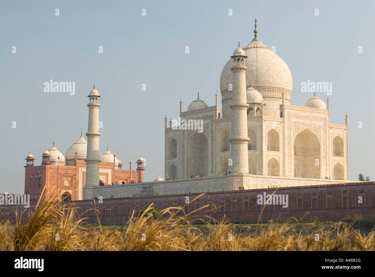 Immagine di stock di Taj Mahal di tutto il fiume Yamuna con andane per piante di cocomero Foto Stock Immagine di stock di Taj Mahal di tutto il fiume Yamuna con andane per piante di cocomero Foto Stock