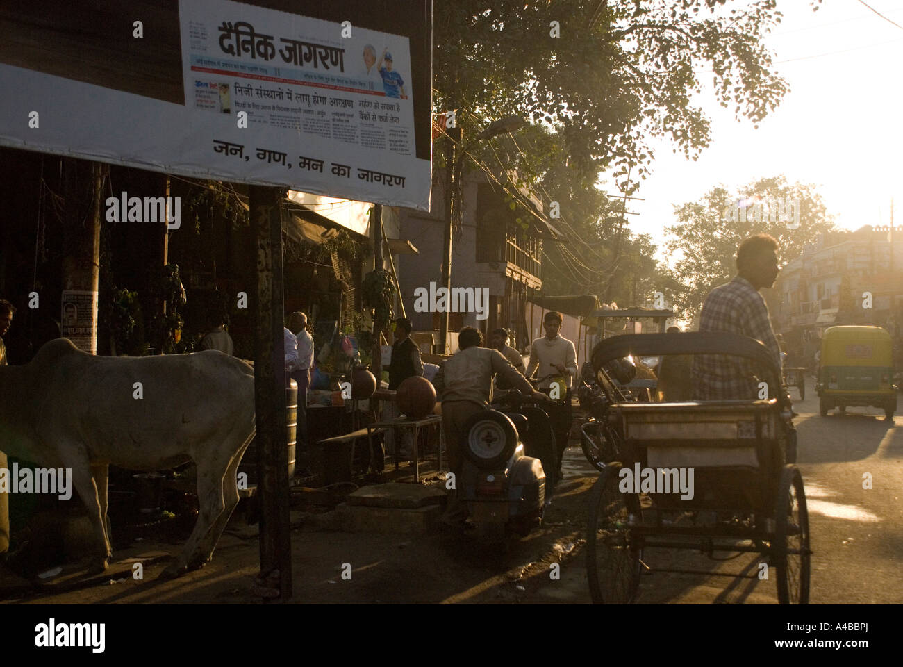 Immagine di stock di Agra street backlighted con pedale scooter risciò e vacca sacra Foto Stock Immagine di stock di Agra street backlighted con pedale scooter risciò e vacca sacra Foto Stock