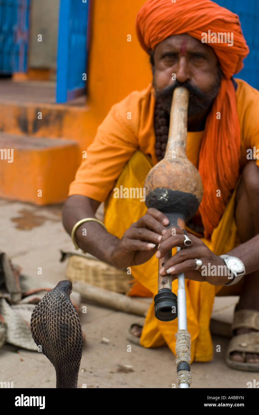 Immagine di stock di un serpente incantatore giocando per la sua oscillazione cobra su un ghat di Varanasi India Foto Stock Immagine di stock di un serpente incantatore giocando per la sua oscillazione cobra su un ghat di Varanasi India Foto Stock