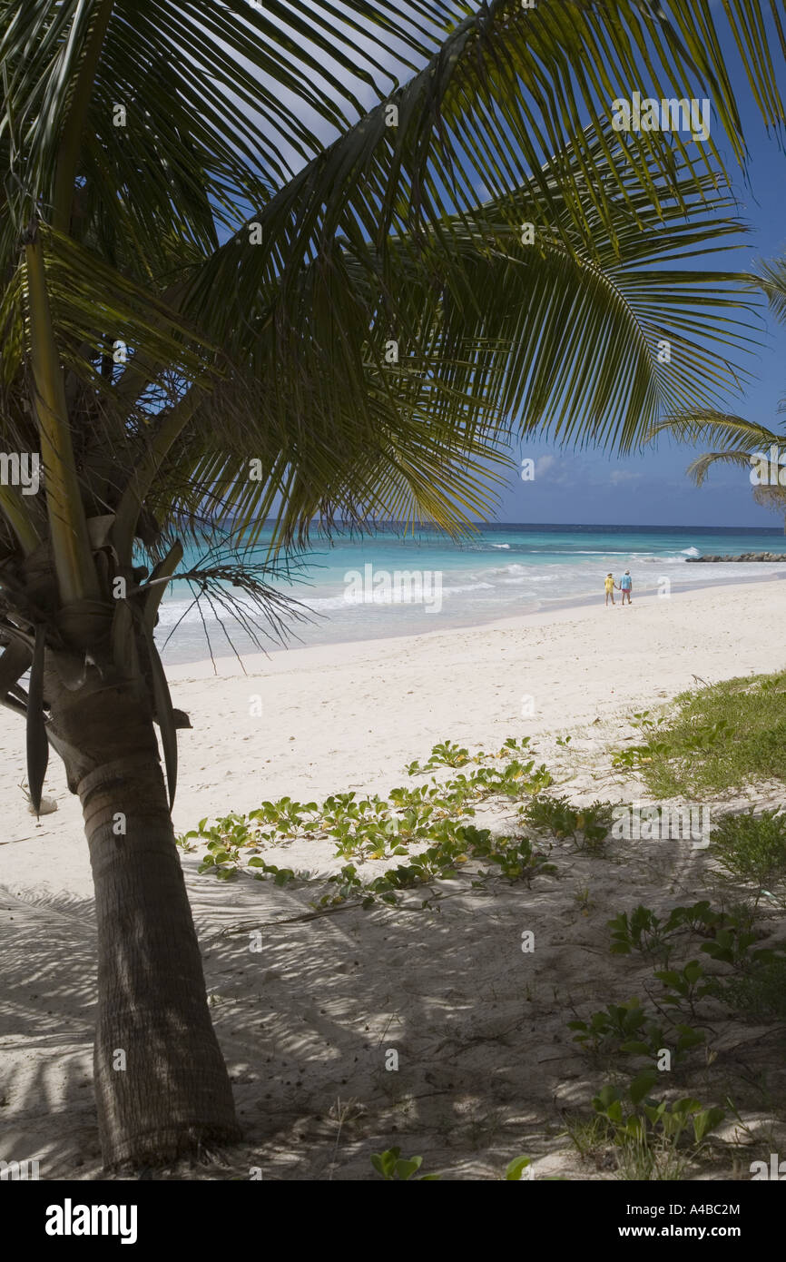 Il Bougainvillea Beach Oistins Barbados Caraibi Foto Stock