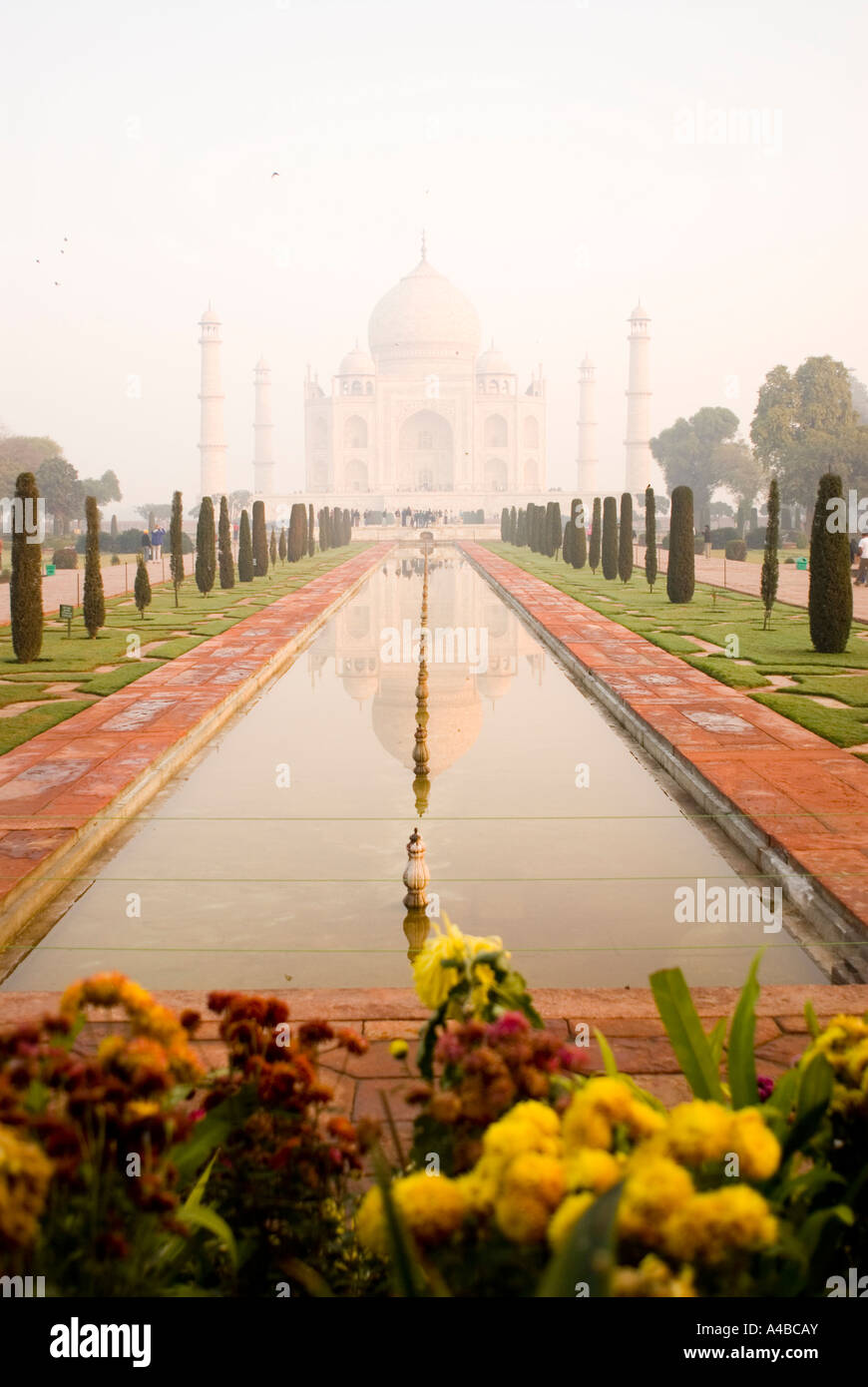 Immagine Stock del Taj Mahal in Agra India all'alba con riflessioni in piscina Foto Stock Immagine Stock del Taj Mahal in Agra India all'alba con riflessioni in piscina Foto Stock