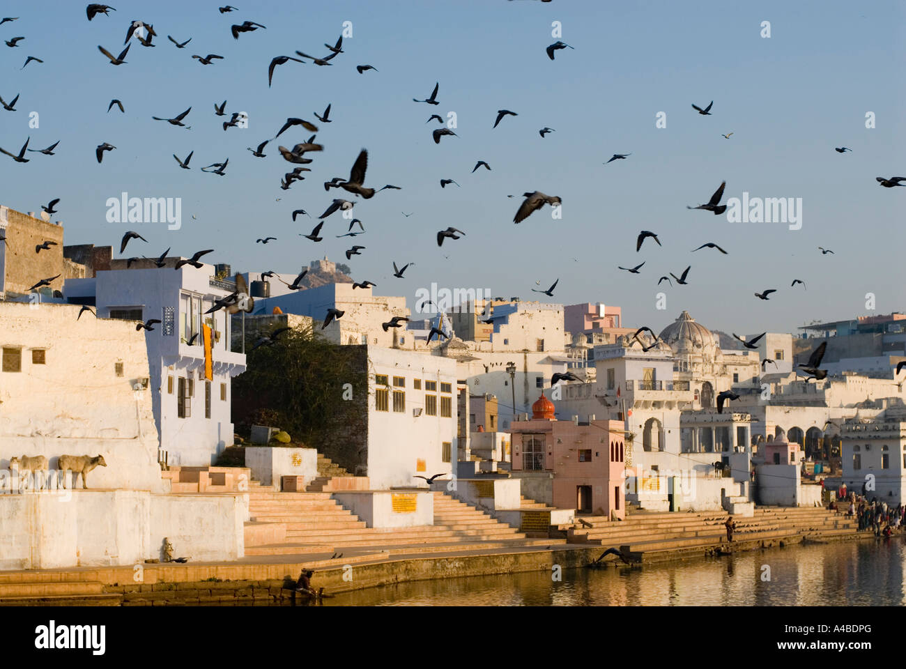 Immagine di stock di balneazione ghats presso il hindu città santa di Pushkar Rajasthan in India Foto Stock