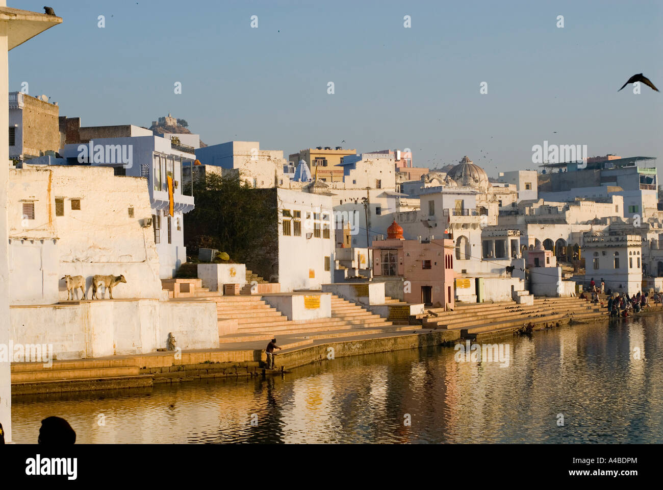 Immagine di stock di balneazione ghats presso il hindu città santa di Pushkar Rajasthan in India Foto Stock