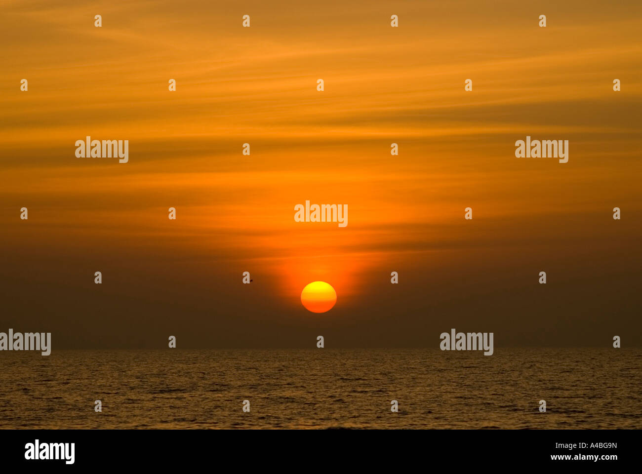 Immagine Stock del tramonto sulla spiaggia Benaulim in Goa Foto Stock Immagine Stock del tramonto sulla spiaggia Benaulim in Goa Foto Stock