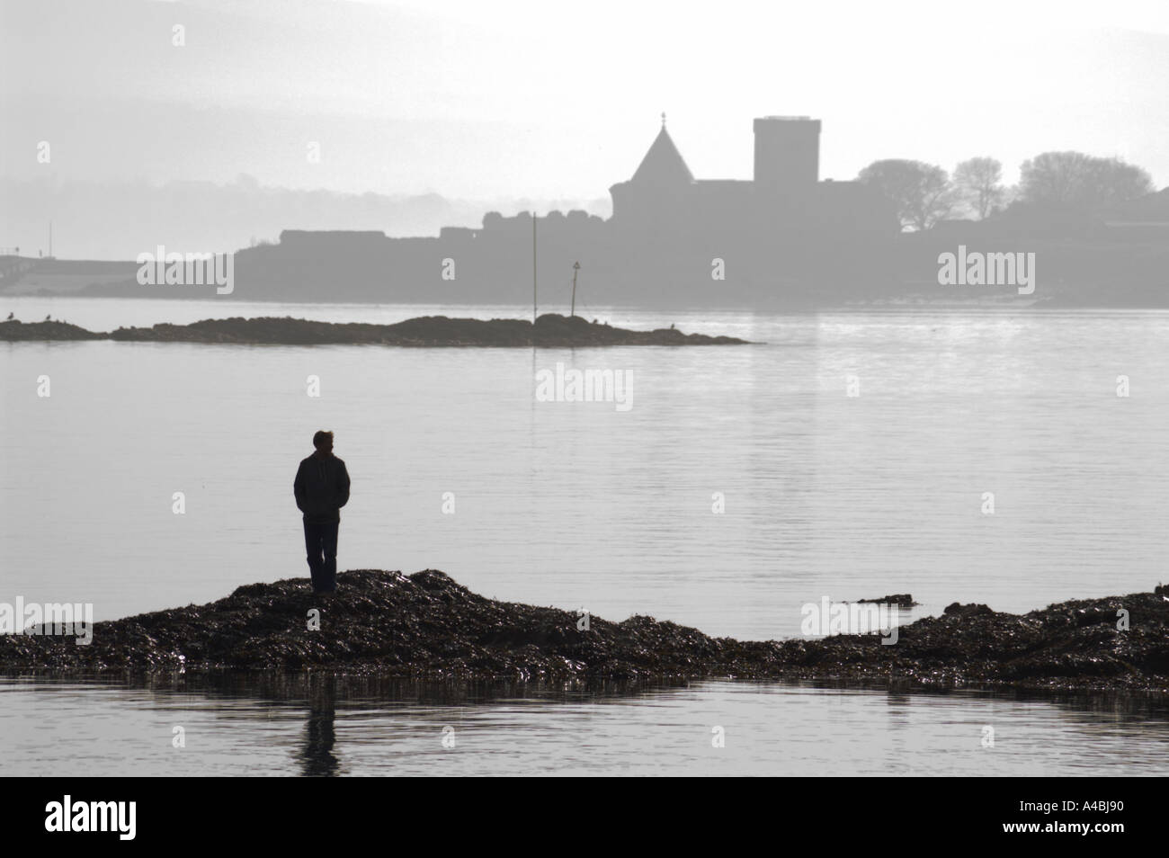 Da West Sands Aberdour Fife Scozia UK vista dell abbazia di Inchcolm sull isola nel Firth of Forth Edimburgo oltre Foto Stock