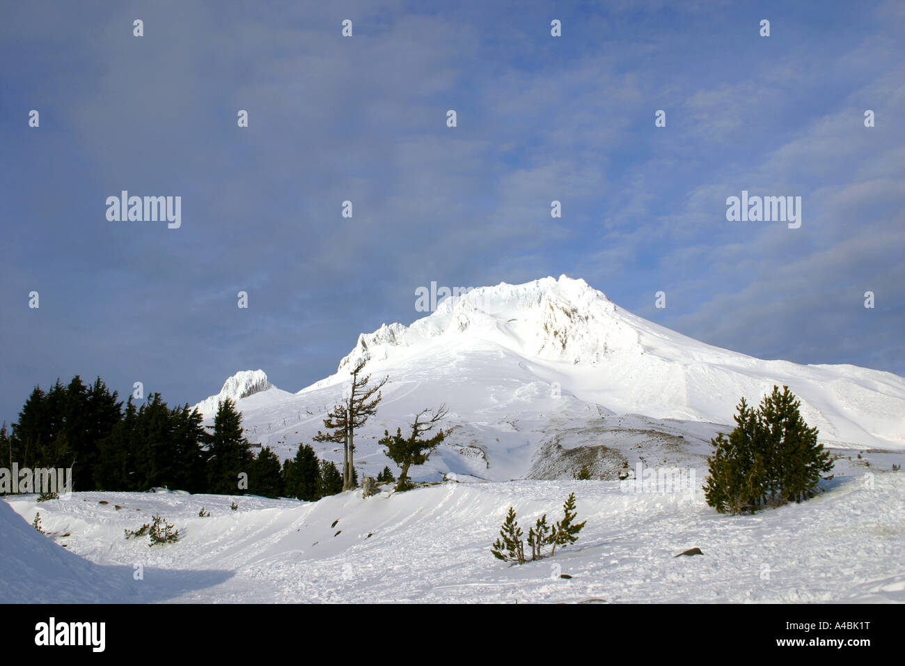 39,069.09660 coperta di neve del Monte Cofano in Oregon, USA nel mezzo dell'inverno, cielo blu -- 11,235 ft paradiso invernale. Foto Stock
