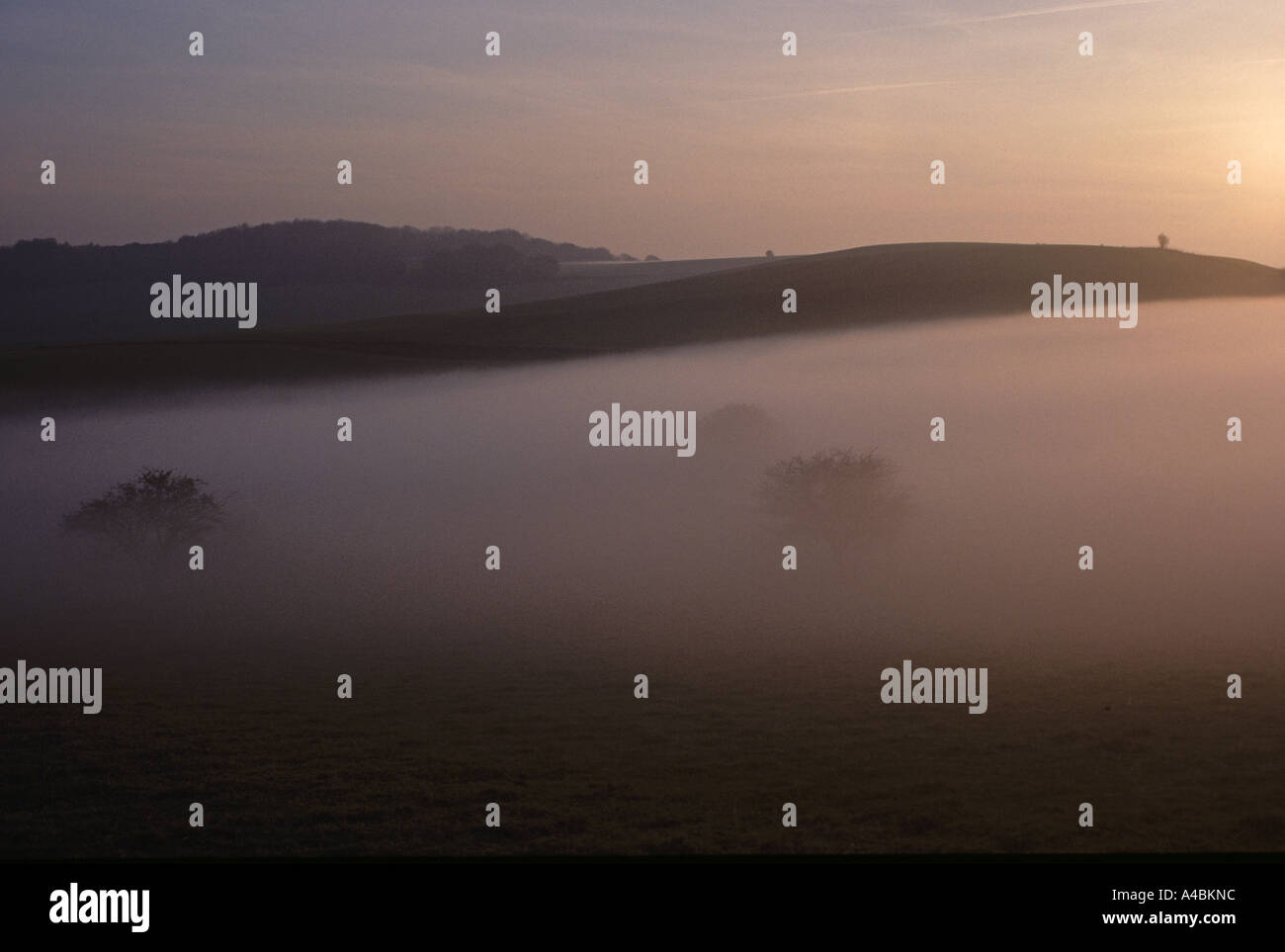 Nebbia invernale Chilterns Buckinghamshire sera Foto Stock