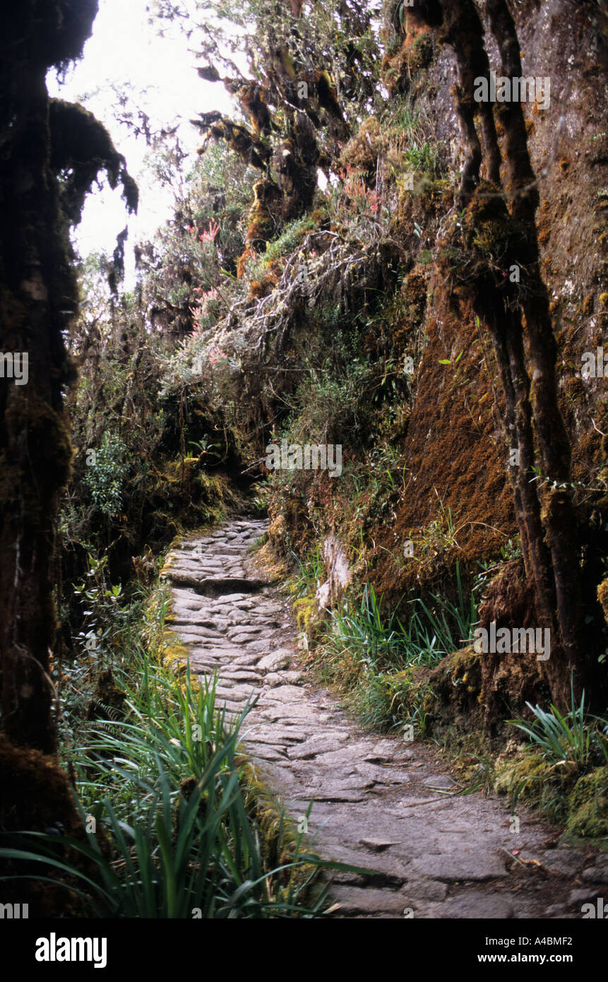Valle di Urubamba, Perù. Inca strada di montagna sul cammino degli Inca alla scoperta di Machu Picchu. Foto Stock