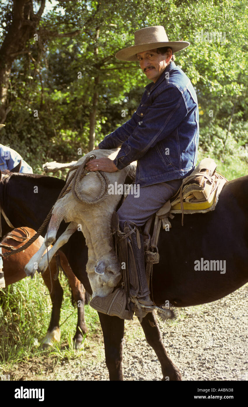 Nel Cile meridionale. Uomo a cavallo con speroni e staffe in legno che porta una pecora sul suo cavallo. Foto Stock