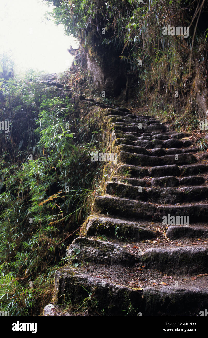 A Phuyupatamarca Winaywina, Perù. Inca strada di montagna/passi sul cammino degli Inca alla scoperta di Machu Picchu. Foto Stock
