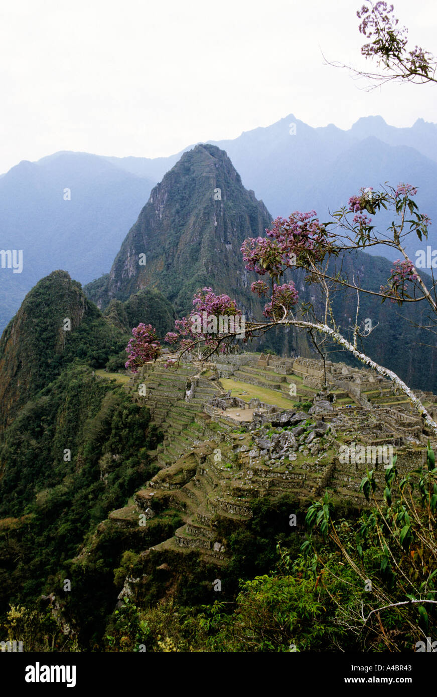 Machu Picchu, Perù. Panoramica del sito dal percorso per il ponte levatoio. Foto Stock