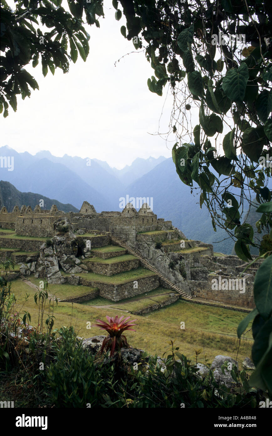 Machu Picchu, Perù. Una parte del sito con terrazze e una lunga scalinata in pietra. Foto Stock
