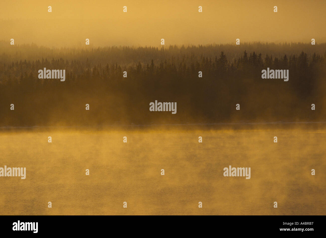 Svezia : inverno sole illumina la mattina presto la nebbia quando il sole sorge sopra il lato della contea di Ostersund Foto Stock