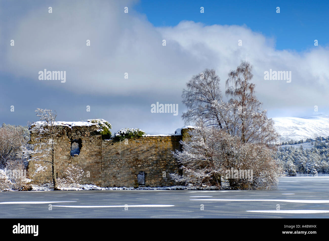 Loch un castello Eilein in inverno, Rothiemurchus, Strathspey. Scozia XPL 4665-438 Foto Stock