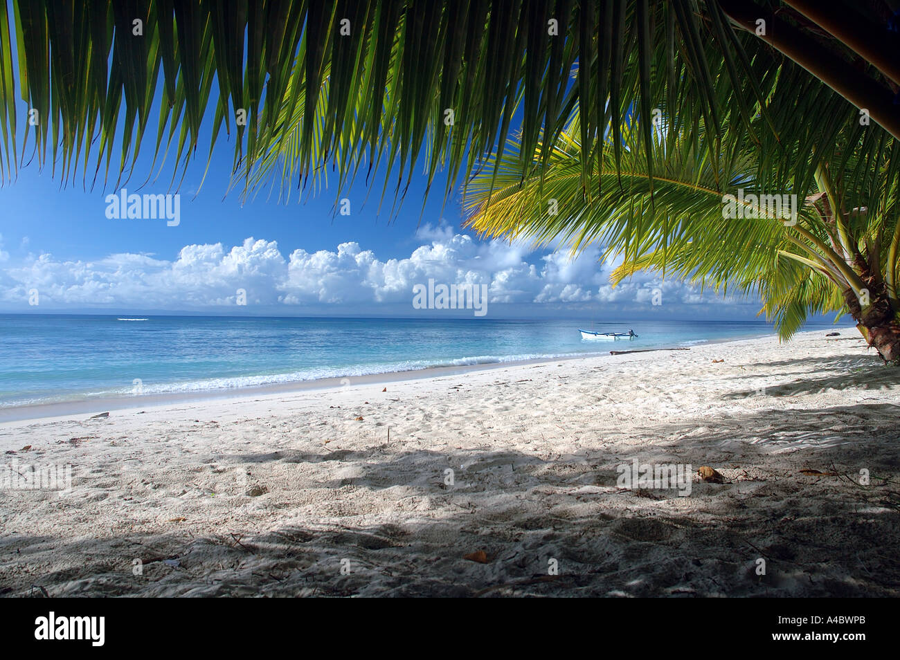 Palme da cocco e la classica spiaggia tropicale Ile aux Nattes Nosy Nato in Madagascar Foto Stock