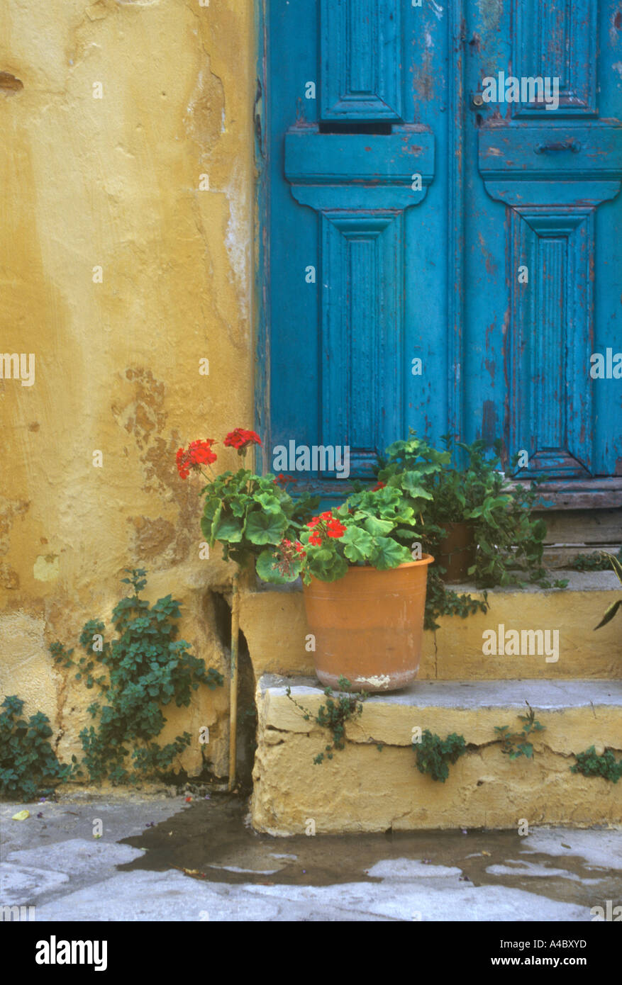 Porta blu con fiori di colore giallo e la parete sulla piccola strada laterale, Santorini Grecia Foto Stock