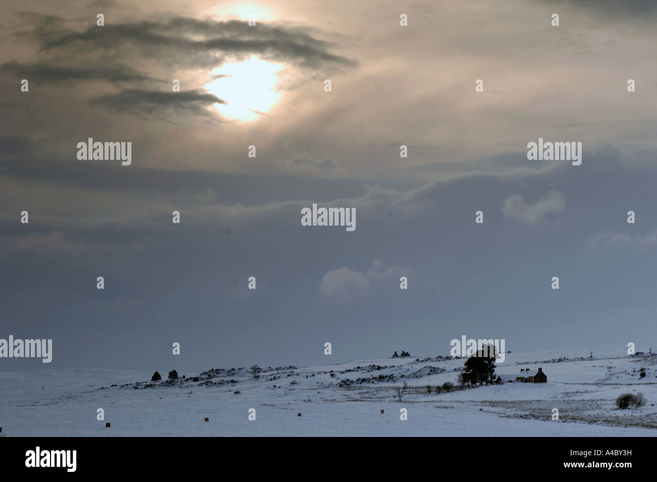 Paesaggio invernale sul dava Moor Grantown on Spey Moray-shire. XPL 4688-440 Foto Stock