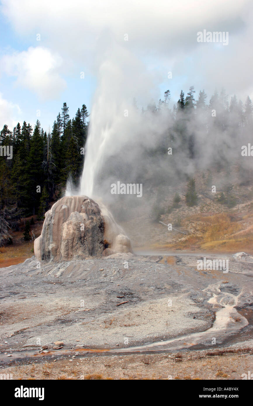Lone Star geyser, il parco nazionale di Yellowstone, wyoming Foto Stock