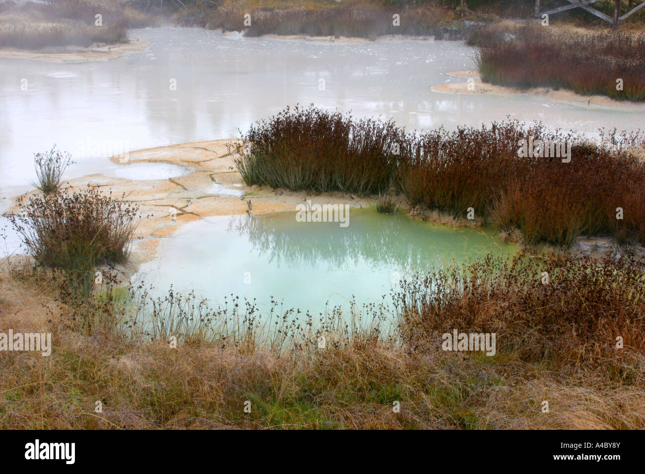 West Thumb Geyser Basin, il parco nazionale di Yellowstone, wyoming Foto Stock