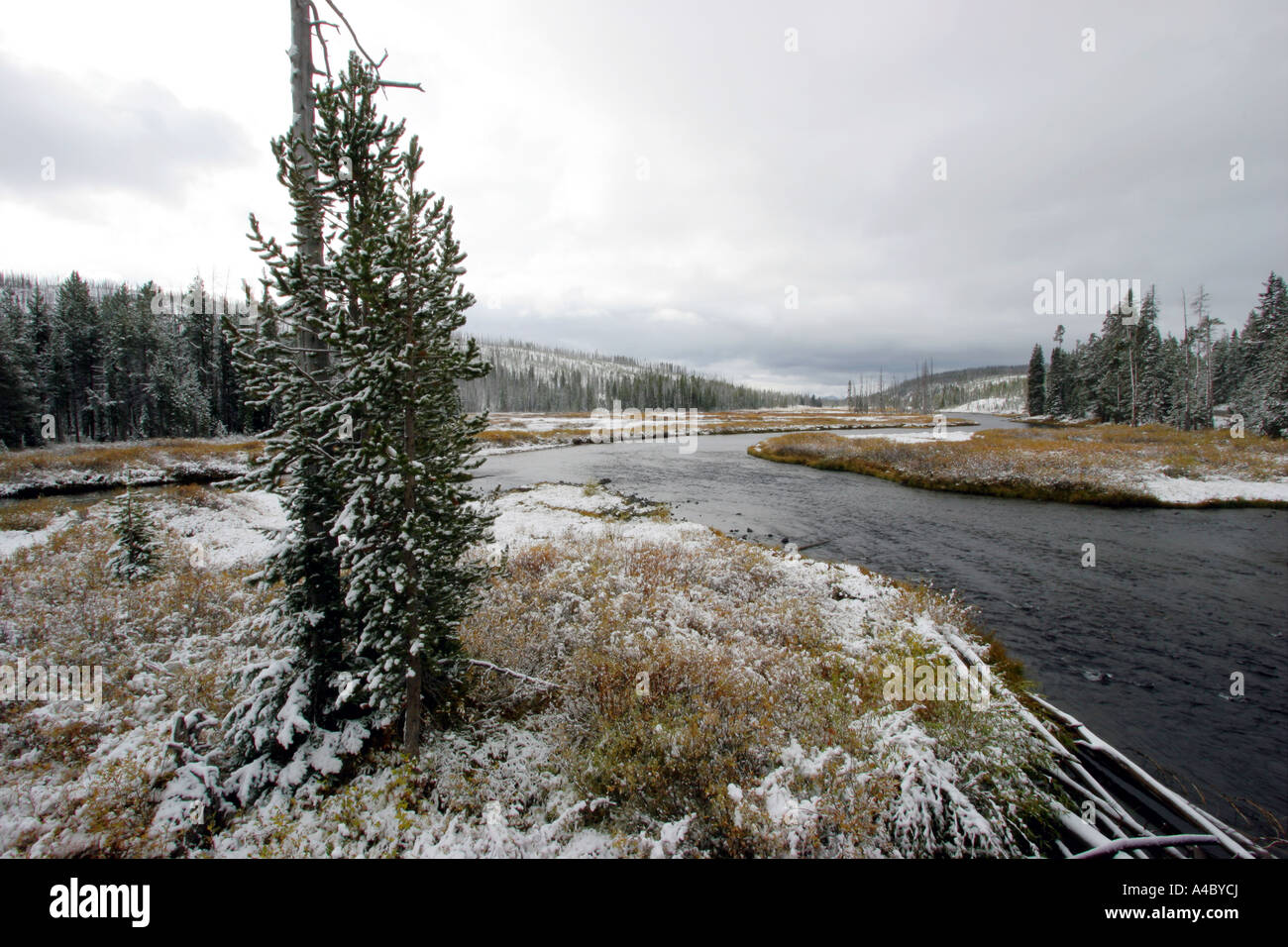Inverno spolvero sul fiume di Lewis, il parco nazionale di Yellowstone, wyoming Foto Stock