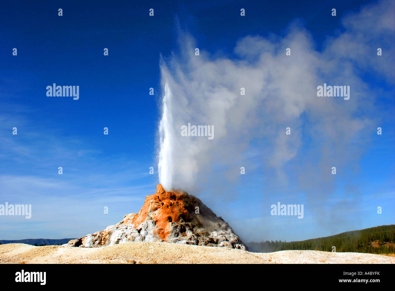 Cupola Bianca geyser, il parco nazionale di Yellowstone, wyoming Foto Stock