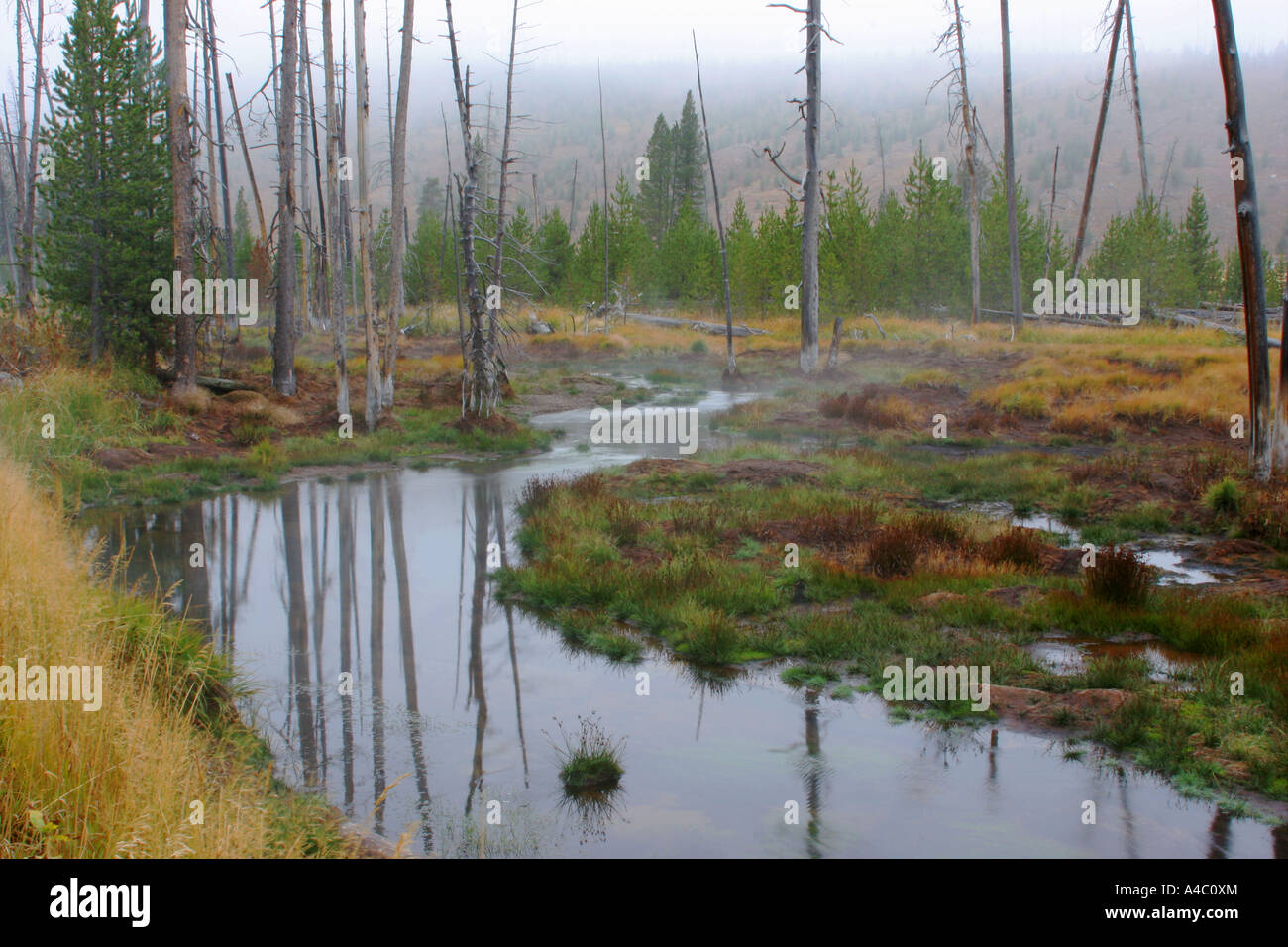 L'ossidiana creek, il parco nazionale di Yellowstone, wyoming Foto Stock