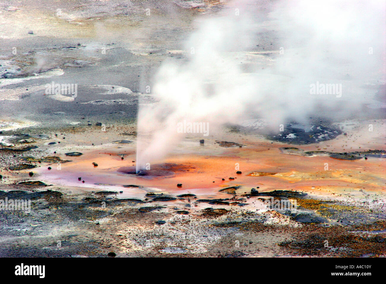 Porkchop geyser, Norris Geyser Basin, il parco nazionale di Yellowstone, wyoming Foto Stock