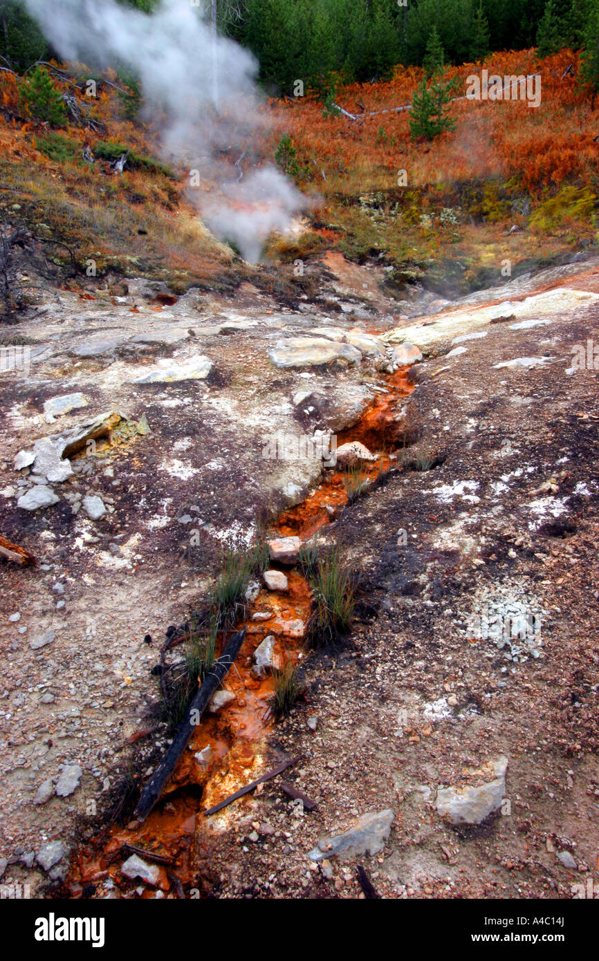 Monumento Geyser Basin, il parco nazionale di Yellowstone, wyoming Foto Stock