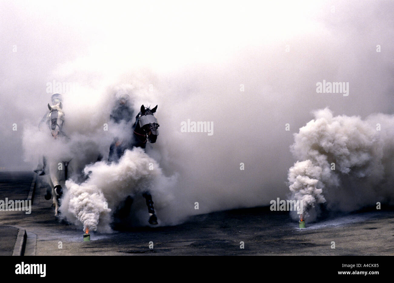 Polizia montata cavalcare i loro cavalli attraverso fumo flares come parte di antisommossa della formazione Foto Stock
