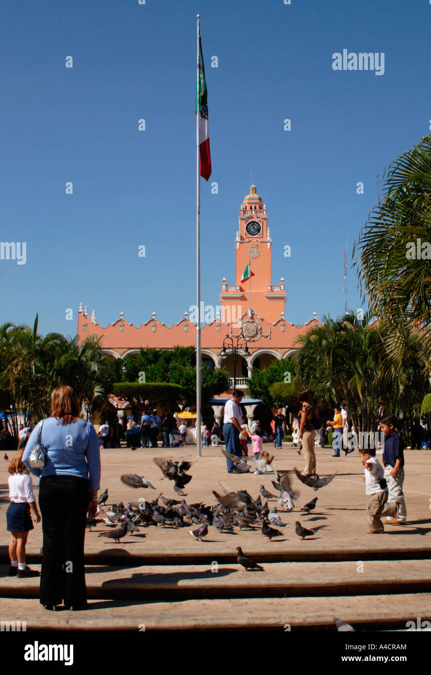 Merida, comsopolitan città nel nord dello Yucatan, una base per i turisti a regione Puuc rovine, come Uxmal e Maya di Chichen Itza. Foto Stock