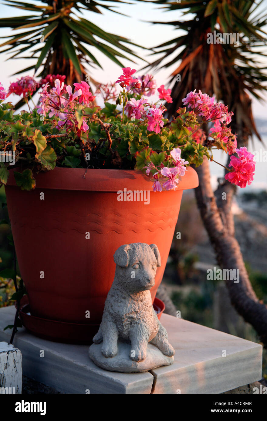 Vaso di fiori con statua di cane Foto Stock