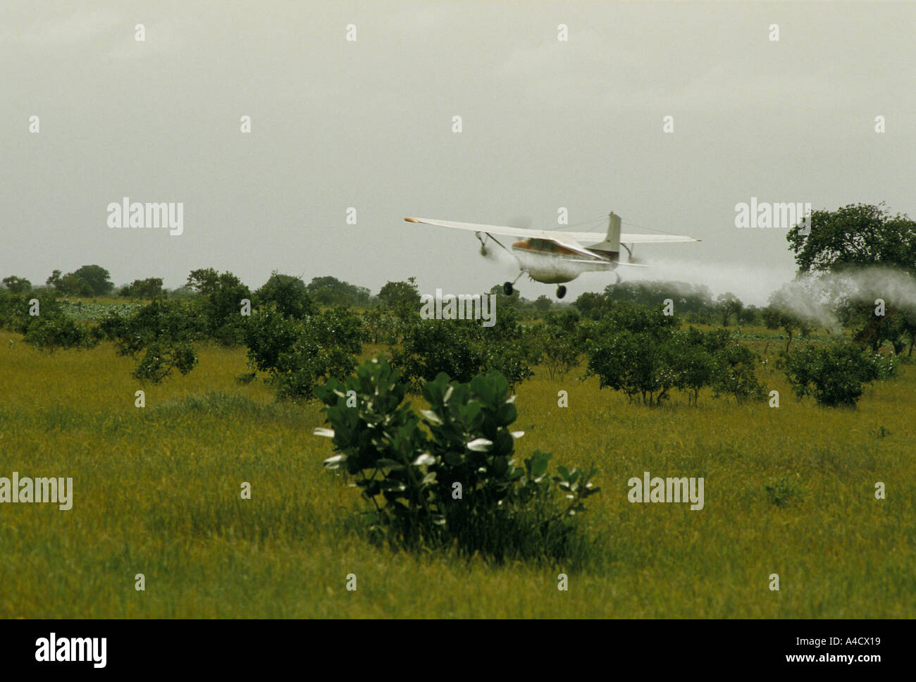 Un aereo spruzza insetticida in un tentativo di uccidere gli sciami di locuste in sviluppo nel Mali occidentale, 1987. Dopo buone piogge per la prima volta dalla carestia del 1984/5, le locuste hanno approfittato delle abbondanti scorte di erbe e colture e si sono moltiplicate rapidamente. Foto Stock