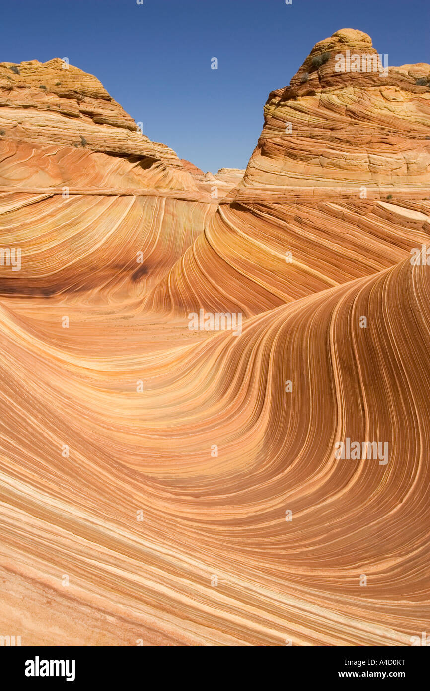 L'onda Vermiglio Cliff, Arizona, Stati Uniti d'America Foto Stock