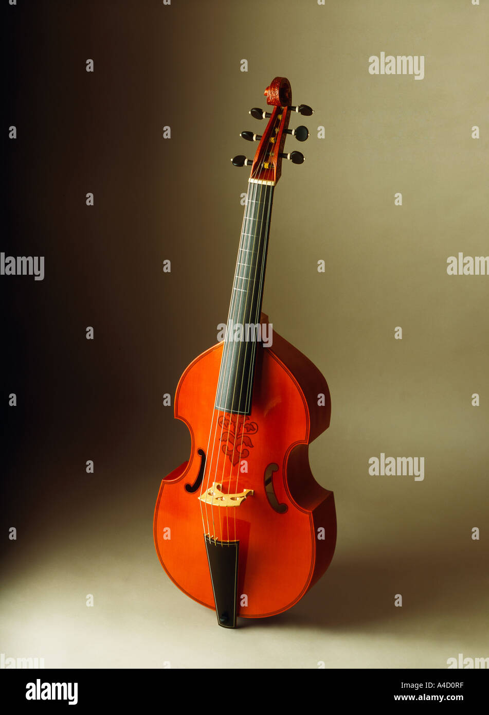 Viola da Gamba o bass v141. Foto Stock