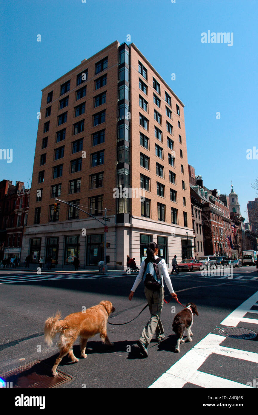 Una donna cammina i suoi cani all'angolo di Oriente 91 St e terzo Ave in New York City Foto Stock