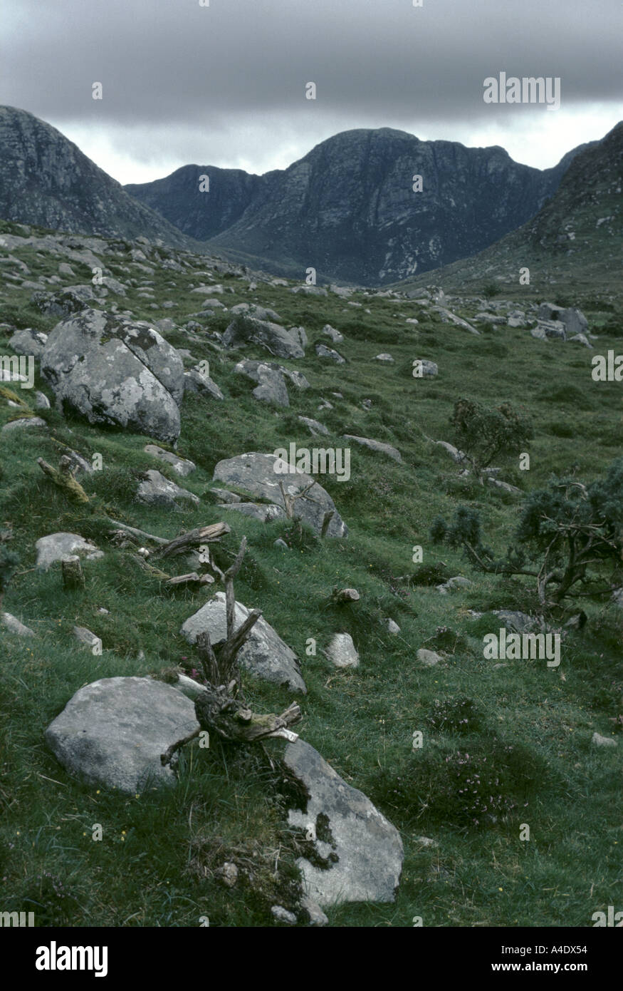 Brumoso paesaggio con erba verde e montagne e massi di granito, Pinar del Rio, Cuba Foto Stock