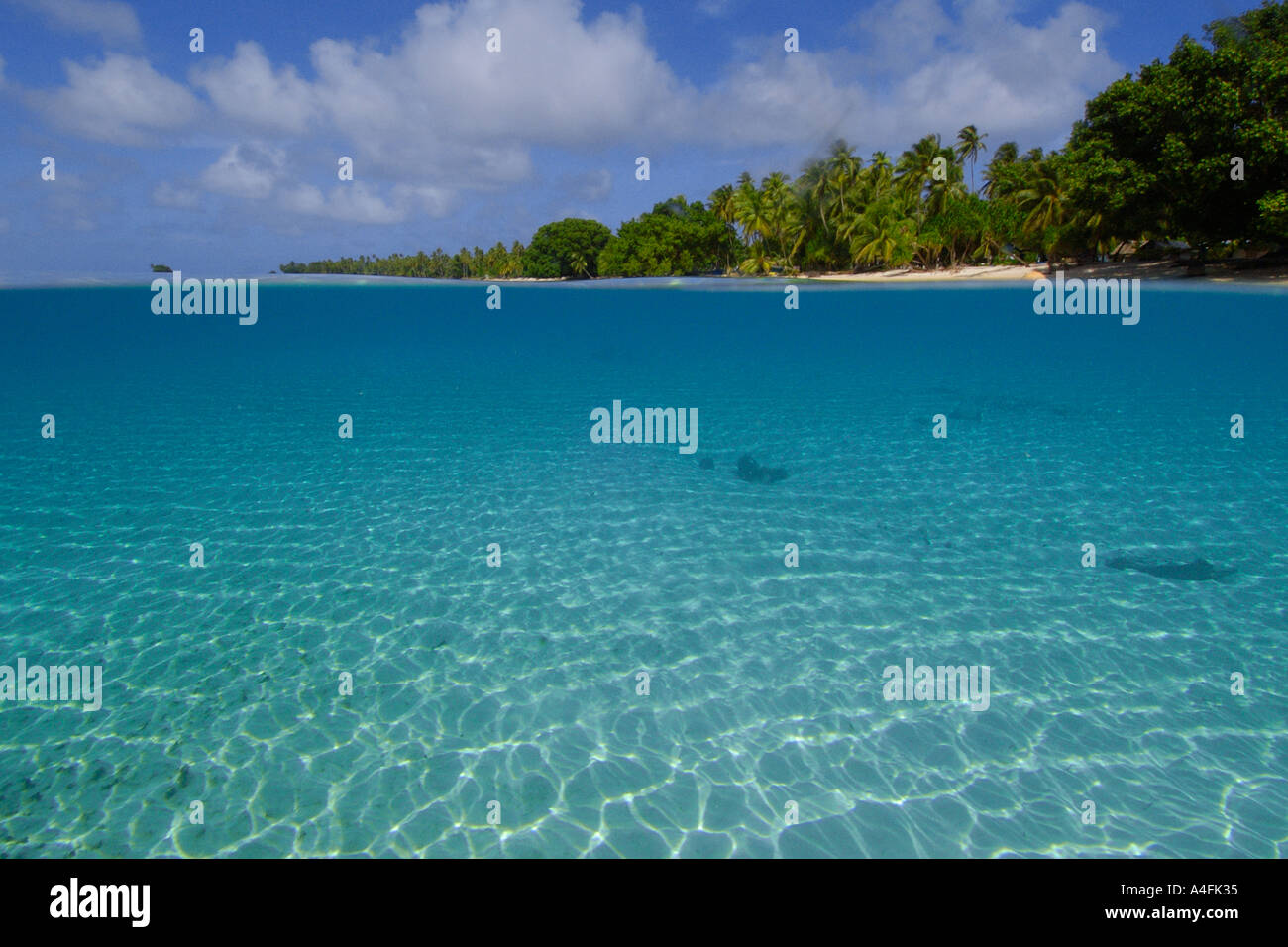 Oltre al di sotto dell'immagine di fondo di sabbia e alberi a Isola Majikin Namu atollo delle Isole Marshall N Pacific Foto Stock
