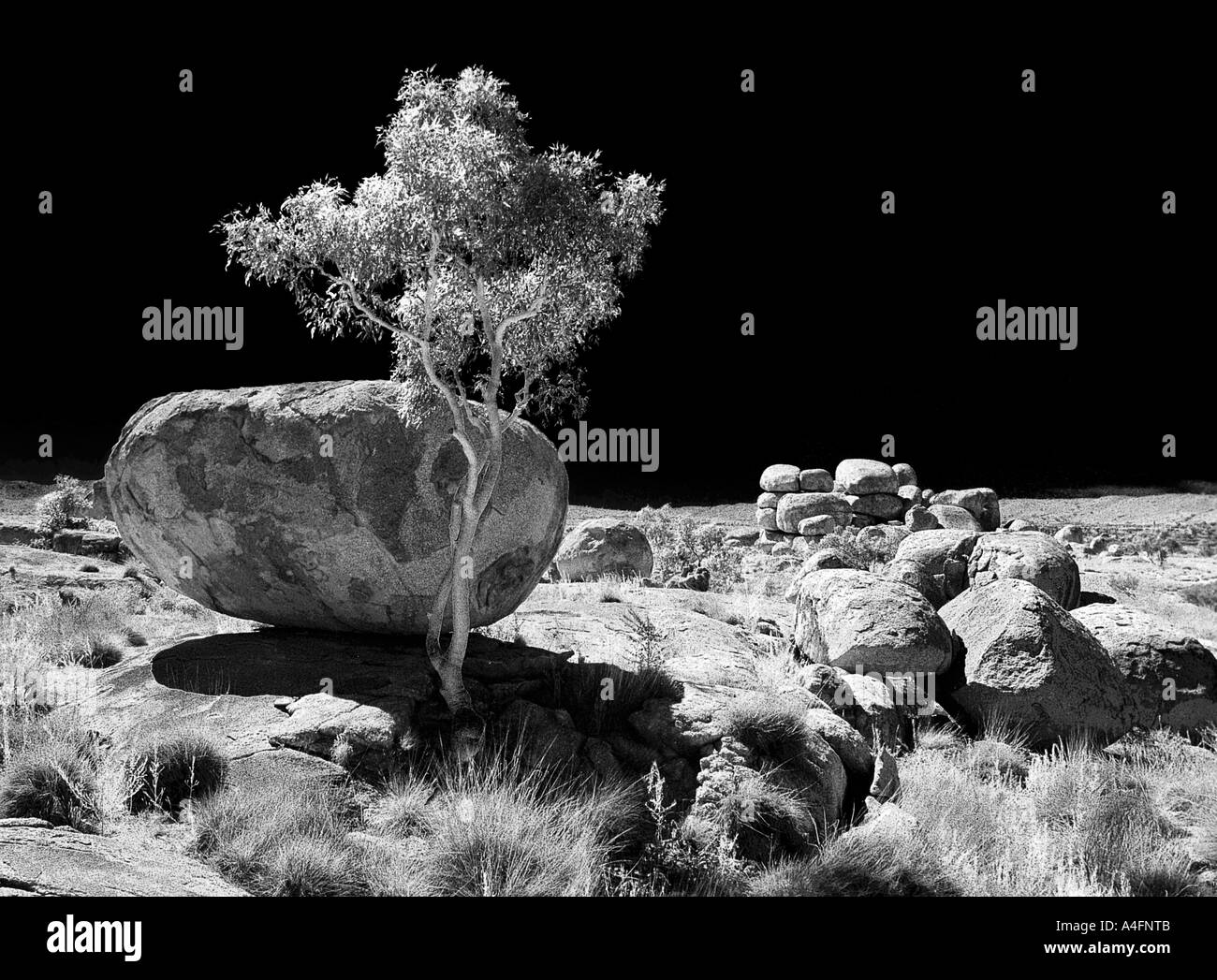 Devils marmi outback australiano Foto Stock