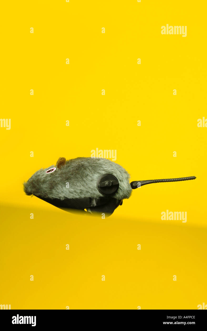 Spielzeug Maus mouse giocattolo Foto Stock